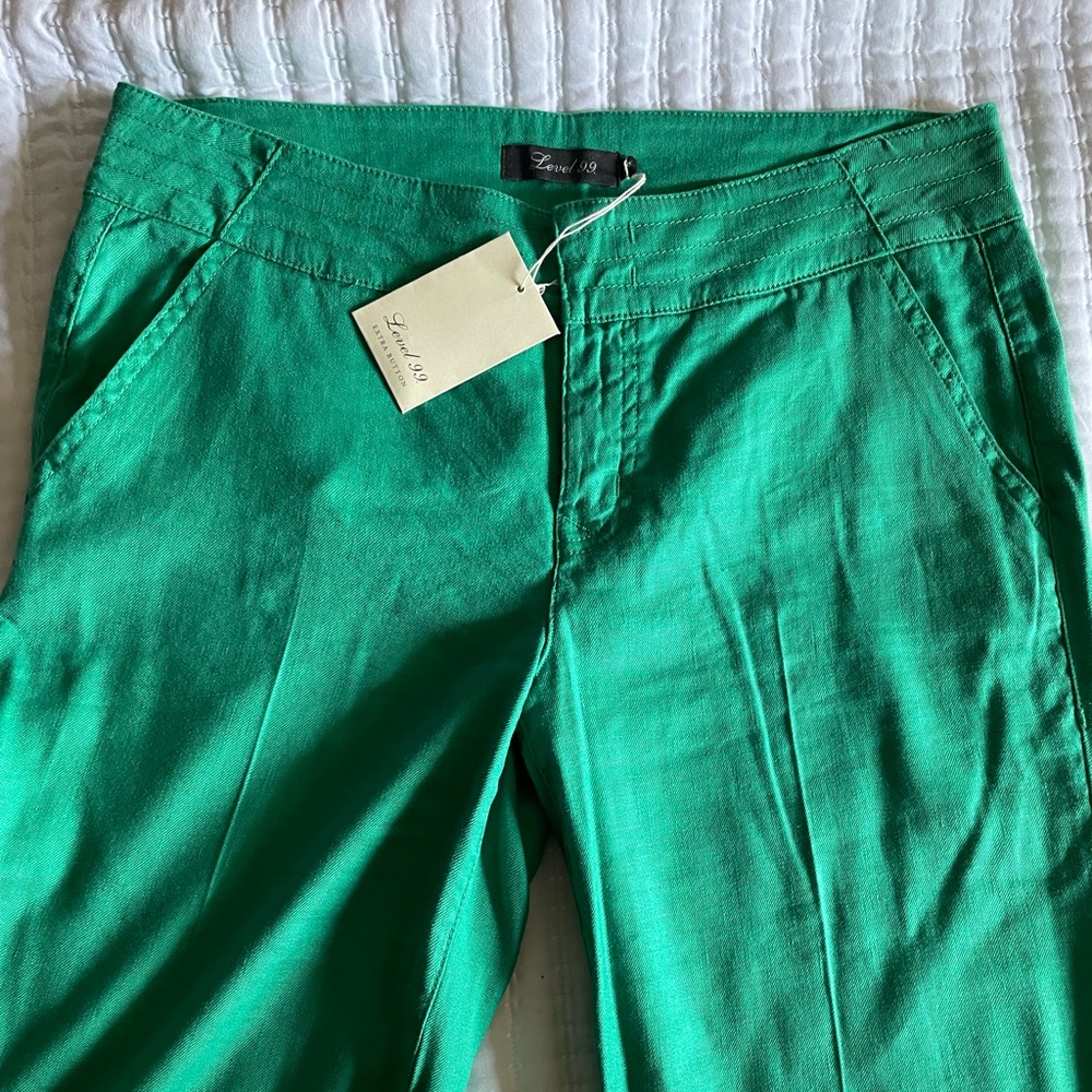 Gorgeous green never worn NWT Level 99 pants. Size 29.
